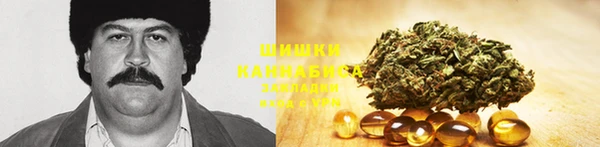 гидра Тутаев